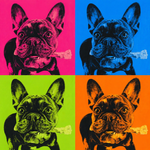 Pop Star — Custom Pet Portrait - 2