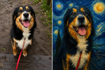 Impressionist — Custom Pet Portrait - 5