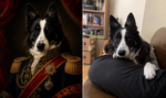 The Royal — Custom Pet Portrait - 4