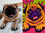 Pop Star — Custom Pet Portrait - 3
